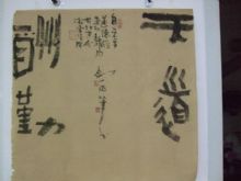 鷨